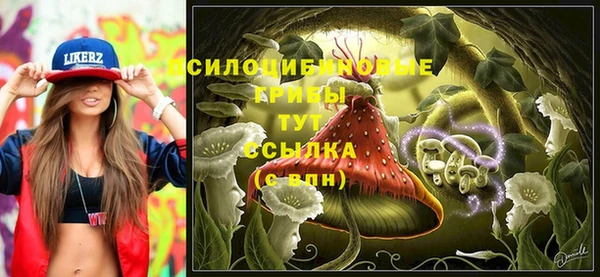 кокс Алзамай