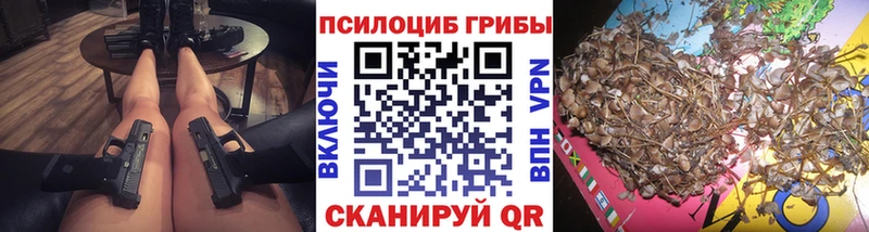 купить наркоту  нарко площадка официальный сайт  Псилоцибиновые грибы GOLDEN TEACHER  Аргун 
